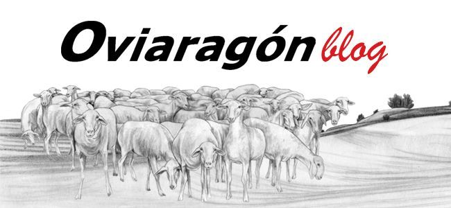 Oviaragon blog