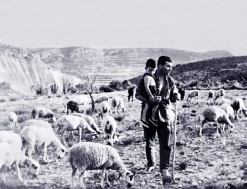 Huellas de la trashumancia: Rutas, Cañadas Reales y patrimonio vivo en la Sierra de Albarracín