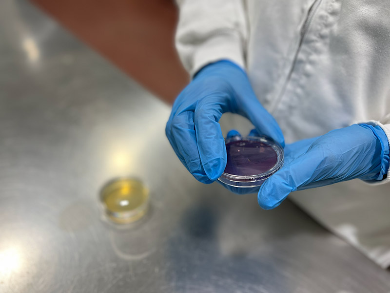 BioTechClean